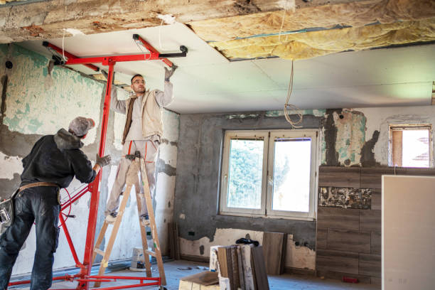 Best Insulation Air Sealing  in Irving, TX